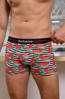 Karpuz Desenli Boxer (Dijital Baskılı) Darkzone DZN2061 detay görünüm