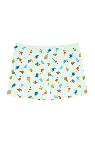 Kız Çocuk Boxer Likralı Summer Serisi Flamingo Baskılı ÖTS 8392 - 6 ADET