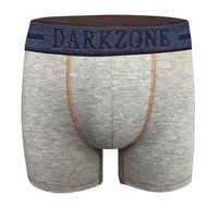 Darkzone Kot Lastiği Desenli Gri Erkek Boxer Darkzone DZN2903