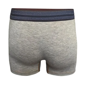 Darkzone Kot Lastiği Desenli Gri Erkek Boxer Darkzone DZN2903 - Alternatif Görünüm