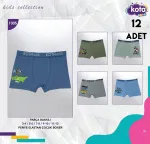 Erkek Çocuk Baskılı Boxer 12Li Kota 1005 Asorti