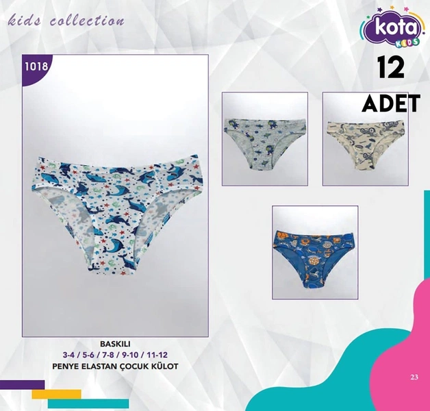 Desenli Erkek Çocuk Külot 12Li Kota 1018