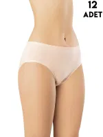 Karışık Renk Kadın Penye Bikini Külot 12'li Kota 5003 Asorti görsel 4
