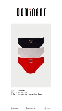 Koza Biat 3 Adet Pamuklu Büyük Beden Bato Külot Koza Biat KZ55000-627 - Alternatif Görünüm