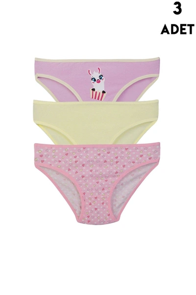 Kız Çocuk Külot Slip 3lü Koza Biat KZ76500-265