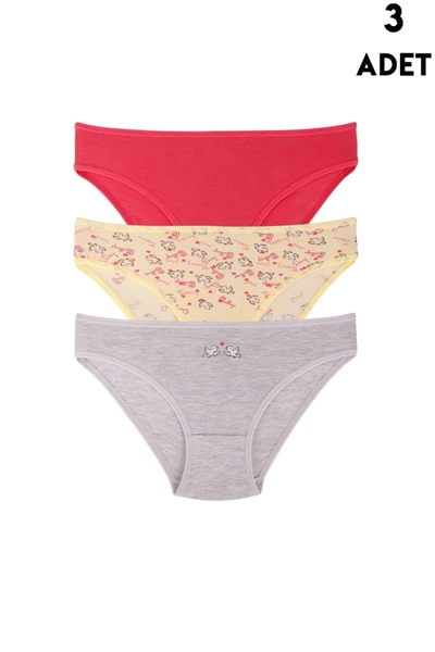 3 Adet Kız Çocuk için Slip Külot Koza Biat KZ76500-269