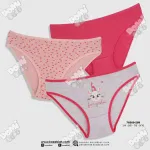 Renkli 3 Adet Kız Çocuk Slip Külot Koza Biat KZ76500-289 Karışık Renk detay görünüm