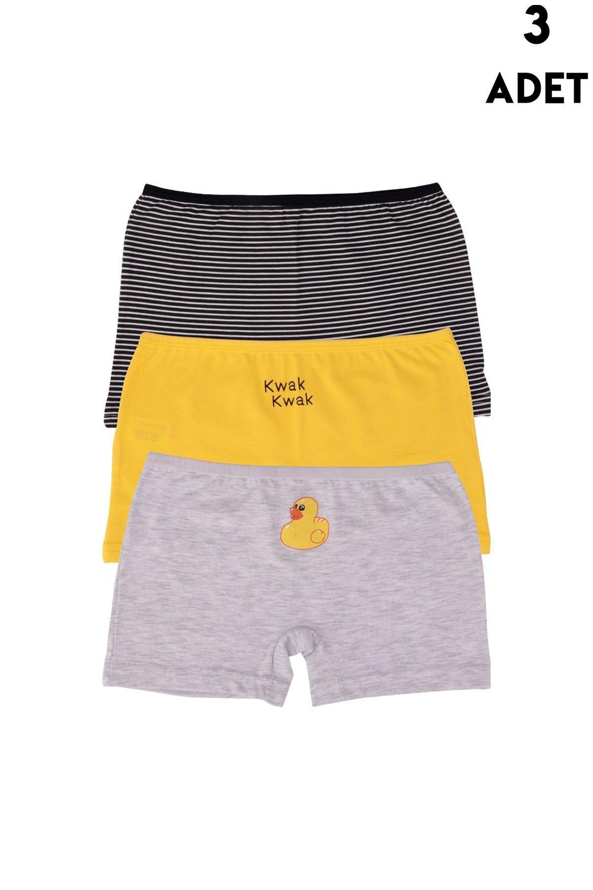 3 Adet Renkli Kız Çocuk Boxer Koza Biat KZ77500-156