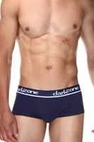 Lacivert Kısa Erkek Boxer Darkzone DZN3304