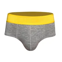 Darkzone Lastikli Gri Erkek Slip  Darkzone DZN6377