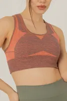 Miofit Seamless Dolgusuz Kadın Spor Sütyeni Miorre 001-001116 Purple Melange görsel 10