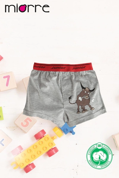 Miorre Erkek Çocuk Boxer Standart