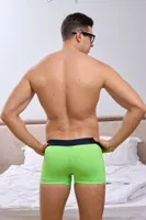 Neon Yeşil Erkek Boxer Darkzone DZN2038 farklı açı