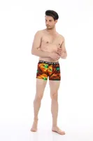 Renkli Yaprak Desenli Çift Kaplan Erkek Boxer 796 Dijital Baskılı Görsel görsel 4