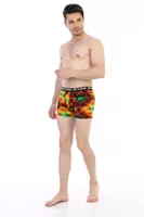 Renkli Yaprak Desenli Çift Kaplan Erkek Boxer 796 Dijital Baskılı Görsel görsel 5