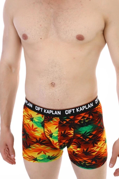 Renkli Yaprak Desenli Çift Kaplan Erkek Boxer 796 Dijital Baskılı