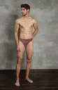 Şahmeran Desenli Erkek Slip Doreanse 1007