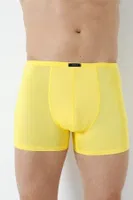 Sari Erkek Bambu Boxer Ince Bel Lastikli Arma Yıldız 1190 - 5 ADET Sarı görsel 5