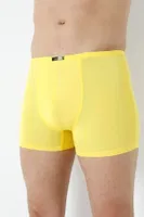 Sari Erkek Bambu Boxer Ince Bel Lastikli Arma Yıldız 1190 - 5 ADET Sarı görsel 4