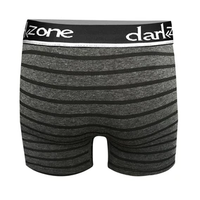 Darkzone Şerit Desenli Antrasit Erkek Boxer Darkzone DZN2693 - Alternatif Görünüm