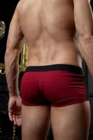 Siyah Erkek Hipster Boxer Darkzone DZN2411 görsel 7