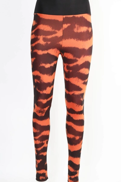 Zebra Leggings Kadın Tayt Derya Kurşun TRND04