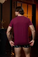 V Yaka Bordo Erkek T-shirt Darkzone DZN8620 görsel 8