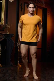 Darkzone V Yaka Sarı Erkek T-shirt Darkzone DZN8622