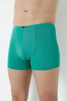 Yeşil Erkek Bambu Boxer Ince Bel Lastikli Arma Yıldız 1190 - 5 ADET Yeşil görsel 5