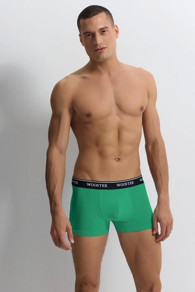 Yeşil Strech Cotton Erkek Boxer Wooster W-062 - 3 Adet