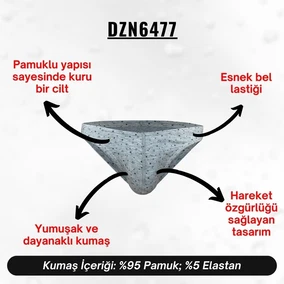 Darkzone Yıldız Desenli Gri Erkek Slip  Darkzone DZN6477 - Alternatif Görünüm