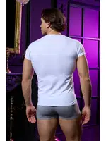 Açık Bisiklet Yaka Beyaz Erkek T-shirt Darkzone DZN8702 detay görünüm