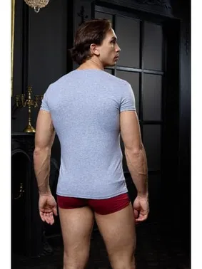 Darkzone Açık V Yaka Gri Erkek T-shirt Darkzone DZN8713 - Alternatif Görünüm