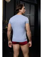 Açık V Yaka Gri Erkek T-shirt Darkzone DZN8713 detay görünüm