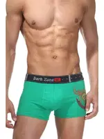 Alev Desenli Yeşil Erkek Boxer Darkzone DZN5005