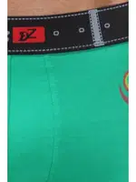 Alev Desenli Yeşil Erkek Boxer Darkzone DZN5005 farklı açı