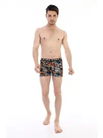 Çift Kaplan Aslan Desenli Çift Kaplan Erkek Boxer 796 Dijital Baskılı