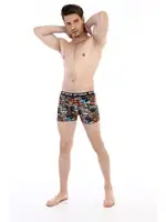 Aslan Desenli Çift Kaplan Erkek Boxer 796 Dijital Baskılı Görsel görsel 7