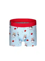 Ayıcık Desenli Yılbaşı Erkek Boxer (Dijital Baskılı) Darkzone DZNNY0004