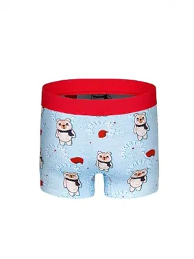 Darkzone Ayıcık Desenli Yılbaşı Erkek Boxer (Dijital Baskılı) Darkzone DZNNY0004 - Alternatif Görünüm