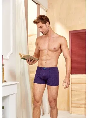 Berrak Berrak Erkek Boxer 4411