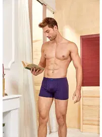 Berrak Berrak Erkek Boxer 4411