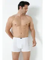 Beyaz Bambu Boxer Ince Bel Lastikli Arma Yıldız 1190 - 5 ADET Beyaz görsel 4