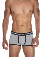 Biyeli Gri Erkek Boxer Darkzone DZN3225