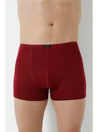 Arma Yıldız Bordo Bambu Boxer Ince Bel Lastikli Arma Yıldız 1190 - 5 ADET