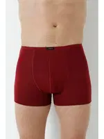 Bordo Bambu Boxer Ince Bel Lastikli Arma Yıldız 1190 - 5 ADET Bordo