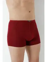 Bordo Bambu Boxer Ince Bel Lastikli Arma Yıldız 1190 - 5 ADET Bordo görsel 5