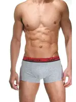 Bordo Çizgili Gri Erkek Boxer Darkzone DZN3103