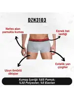 Bordo Çizgili Gri Erkek Boxer Darkzone DZN3103 farklı açı