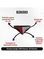 Bordo Gri Erkek Slip  Darkzone DZN6909 farklı açı